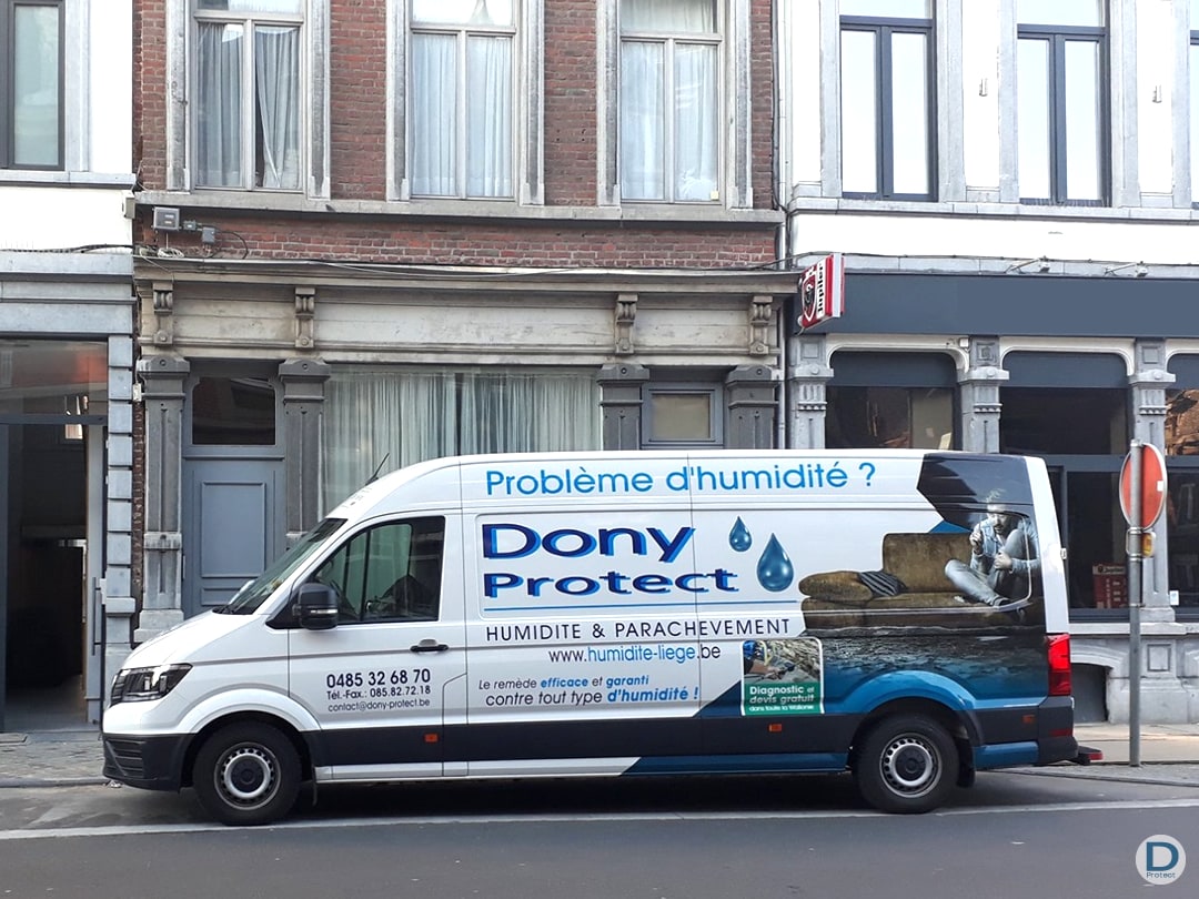 entreprise spécialiste élimination champignon mérule liege arlon huy charleroi